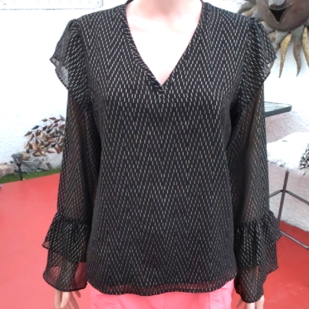 Elegant Black Sheer  Lined Women's Top